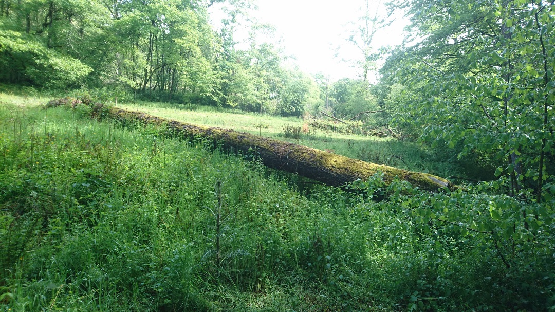 Terrain Corrèze